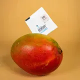 integra-boost-terpene-essentials-mircen-62percent-4g-liczba-sztuk-w-opakowaniu-1-szt-marka-inna