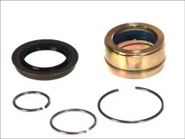 zestaw-naprawczy-pompa-przechylna-aug55501