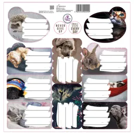 beniamin-naklejki-na-zeszyty-sweet-pets