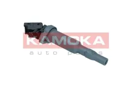 cewka-zaplonowa-7120066-kao