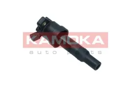 cewka-zaplonowa-7120110-kao