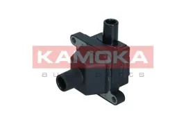 cewka-zaplonowa-7120120-kao