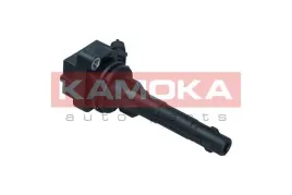 cewka-zaplonowa-7120123-kao
