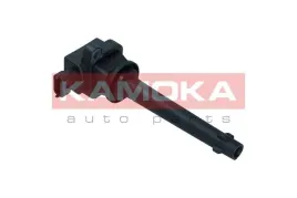 cewka-zaplonowa-7120127-kao