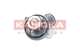 termostat-kpl-7710119-kao