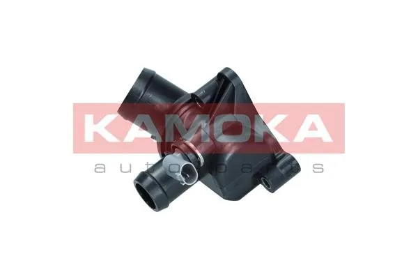 termostat-kpl-7710187-kao