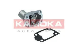 termostat-kpl-7710272-kao