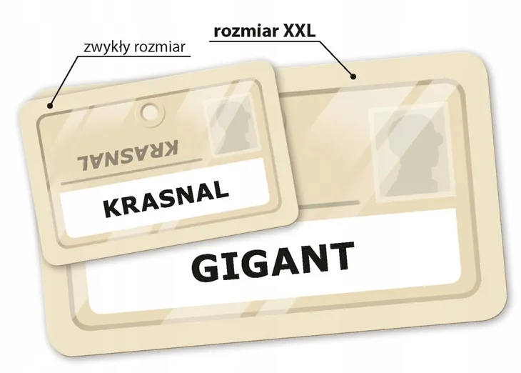 gra-rebel-tajniacy-jezyk-instrukcji-polska