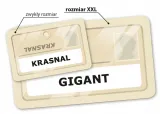 gra-rebel-tajniacy-jezyk-instrukcji-polska