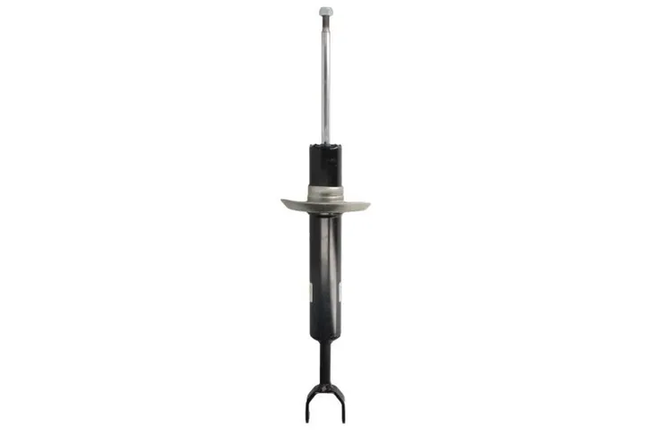 amortyzator-22-031167-bilstein