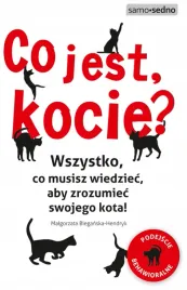 co-jest-kocie-wszystko-co-musisz-wiedziec-aby