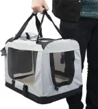 transporter-dla-psa-mobiclinic-s