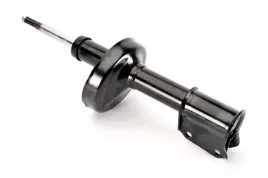 amortyzator-11273-mon