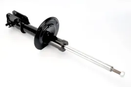 amortyzator-16306-mon