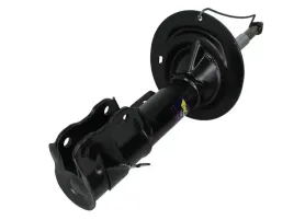 amortyzator-16796-mon