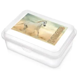 pojemnik-sniadaniowy-przezroczysty-kon-750-ml
