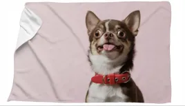 recznik-mikrofibra-z-psem-pies-chihuahua-70x100-szybkoschnacy-kapielowy-roz
