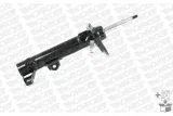 amortyzator-c2508r-mon-typ-samochodu-samochody-osobowe