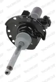 amortyzator-c2504r-mon-typ-samochodu-samochody-osobowe