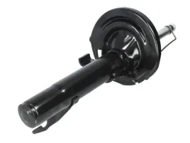 amortyzator-g16387-mon