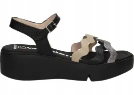 wonders-b-7943-41-andy-max-wild-v-plomo-negro