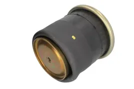 miech-zawieszenia-pneumatycznego-4878n1p01