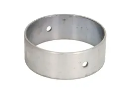 panewka-walka-rozrzadu-099nb10032000-mah