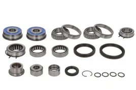 zestaw-naprawczy-skrzyni-biegow-462038310-ina