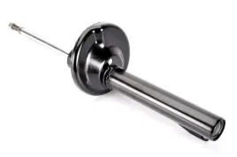 amortyzator-mong16130