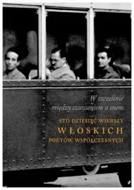 w-szczelinie-miedzy-czuwaniem-a-snem-mikolajewski