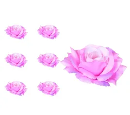 roza-glowka-sonia-rozowofioletowa-6-sztuk