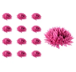 chryzantema-aster-glowka-mauve-12-sztuk
