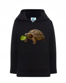 bluza-dziecieca-z-kapturem-zolw-gady-przedszkole-viral-prezent-n336