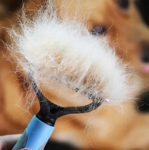 trymer-dla-psow-do-koltunow-stan-nowy