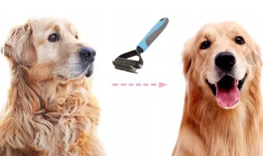 trymer-dla-psow-do-koltunow-produkt-wprowadzony-do-obrotu-na-terenie-ue-przed-13-12-2024-tak