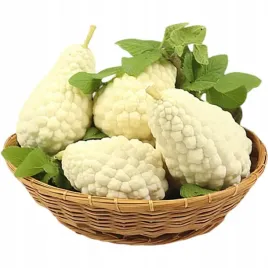 nasiona-balsamki-ogorkowatej-chinski-gorzki-melon-bialy-zestaw-10-sztuk