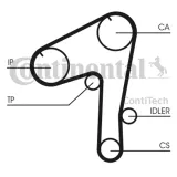 pasek-rozrzadu-ct1084-contitech