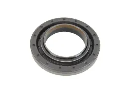 uszczelniacz-walka-atakujacego-12019419-cor