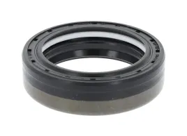 uszczelniacz-walka-atakujacego-12019672-cor