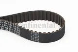 pasek-rozrzadu-ct704-contitech-producent-czesci-continental