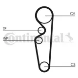 pasek-rozrzadu-ct729-contitech-producent-czesci-continental