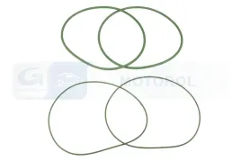 zestaw-pierscieni-uszczelniajacych-21652093-cor
