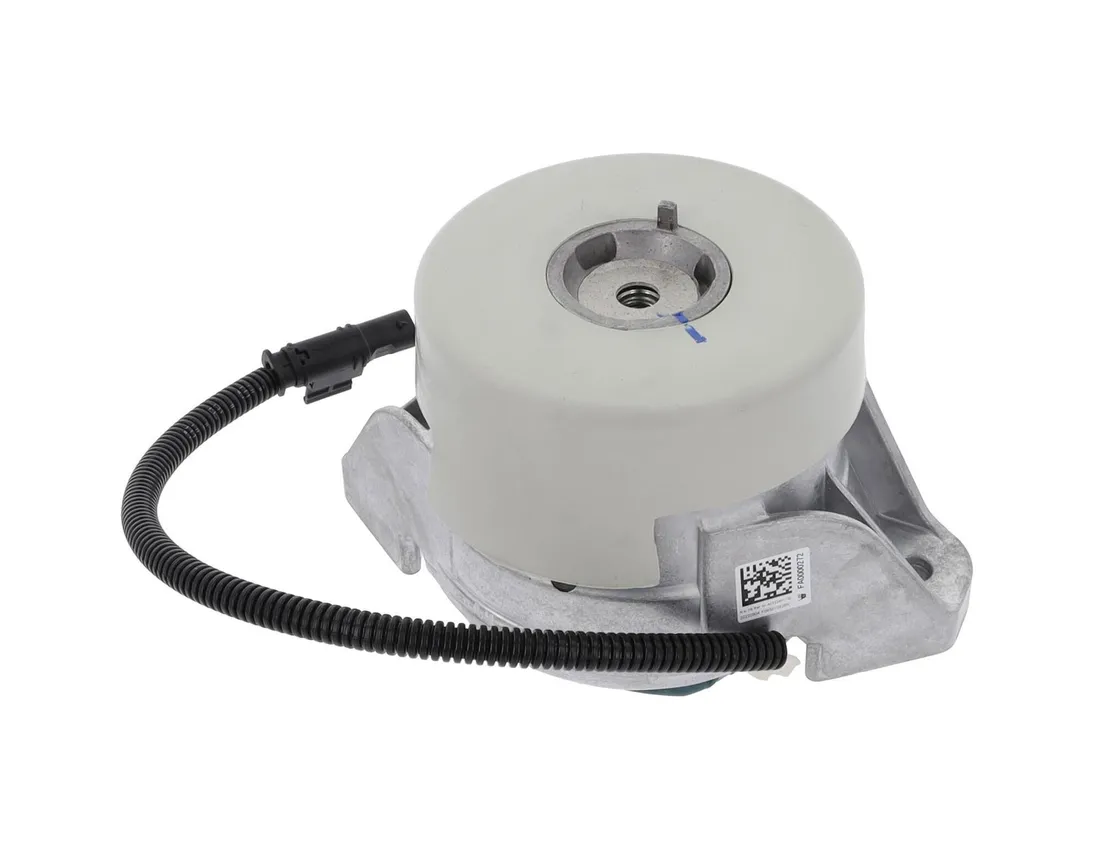 poduszka-silnika-49374285-cor