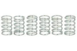 zestaw-sprezyn-sprzegla-fss0108