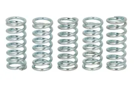 zestaw-sprezyn-sprzegla-fss0206