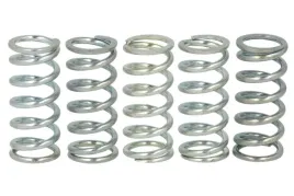 zestaw-sprezyn-sprzegla-fss0507