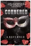 cornered-a-november-stan-nowy