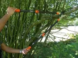 nozyce-reczne-garten-primus-01100-stan-powystawowy-kod-producenta-01100