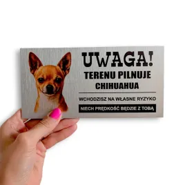 tabliczka-uwaga-pies-terenu-pilnuje-chihuahua