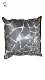 poduszka-roberto-cavalli-40964-60x60-kolor-inny